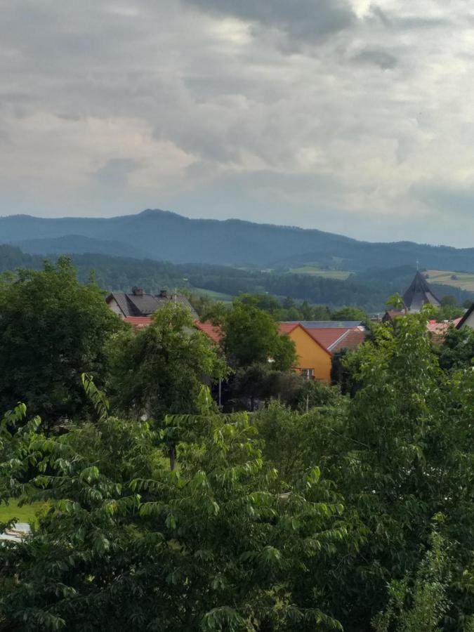 Domek Pod Przehyba - Pokoje Golkowice Dolne Exterior photo